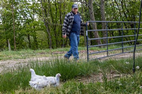 Farmer Shoe (@shoestrang.